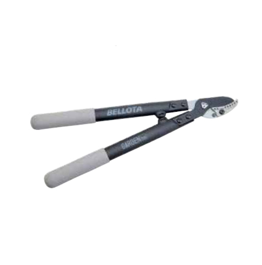  CISAILLE BELLOTA 3440-75 