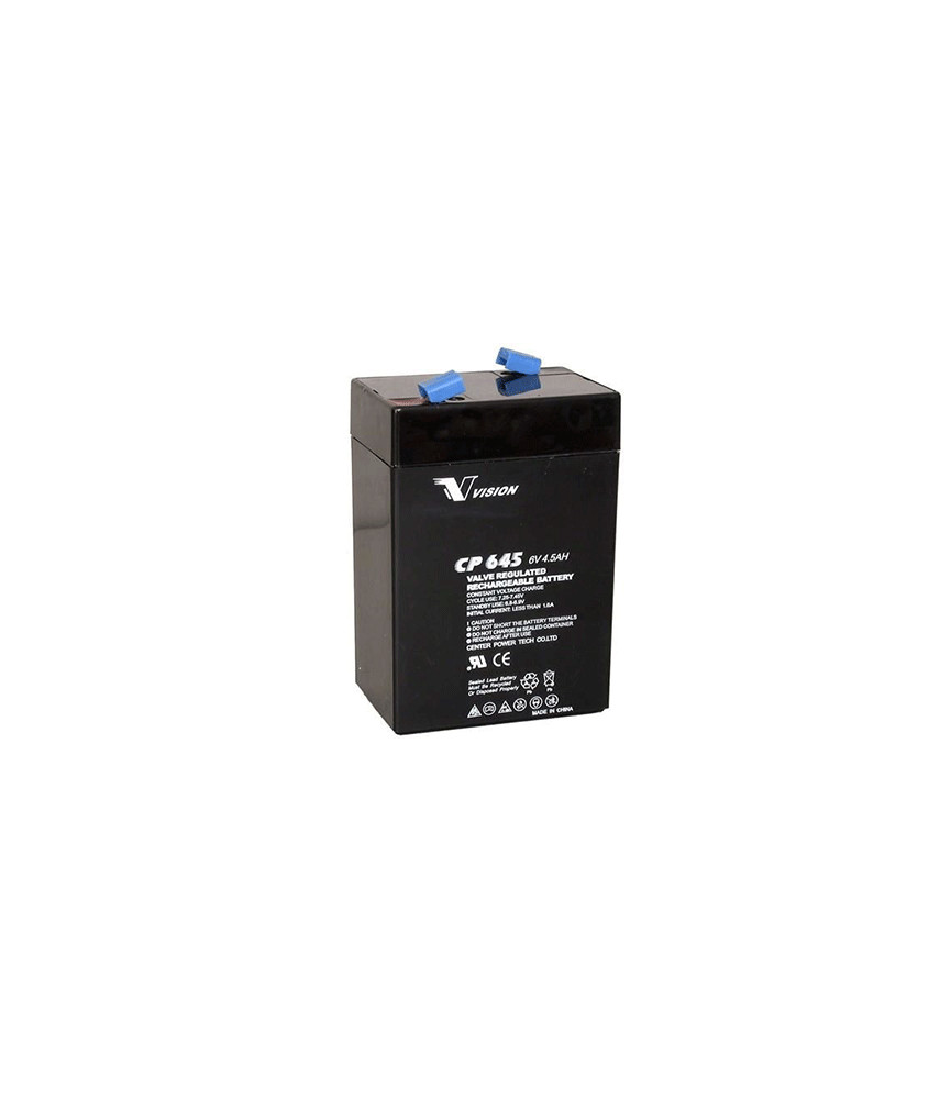BATTERIE P/TORCH 6V RB0044