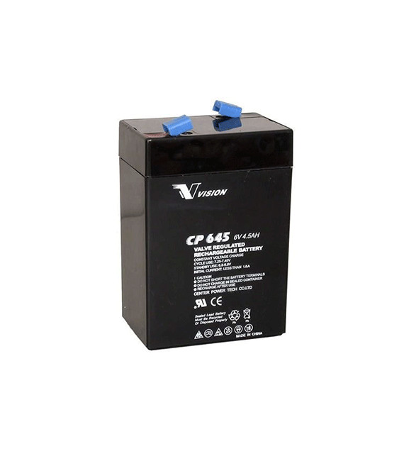 BATTERIE P/TORCH 6V RB0044