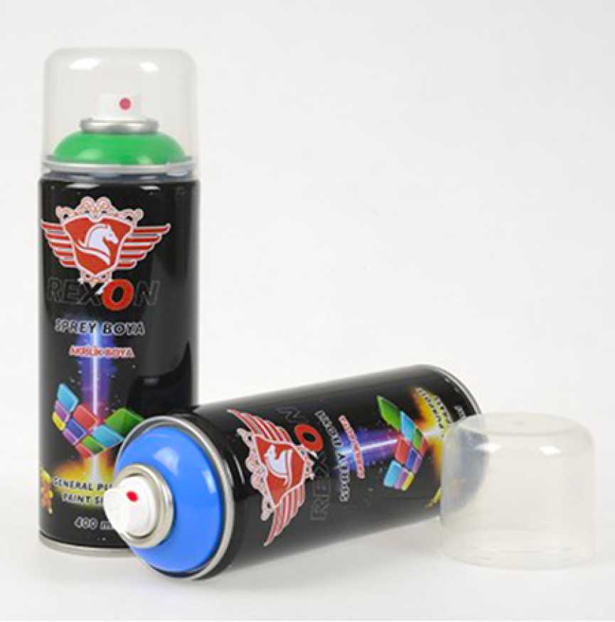 PEINTURE REXON 