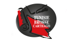 Tunisie brosse carthago